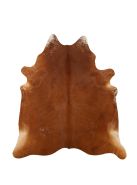 Koehuid Brasília exotic medium   #