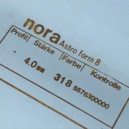 Nora Astro form 8
