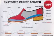 Topy poster "anatomie van de schoen" 43x62cm