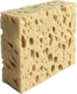 Natuurspons t.b.v. Combi clean & care foam #